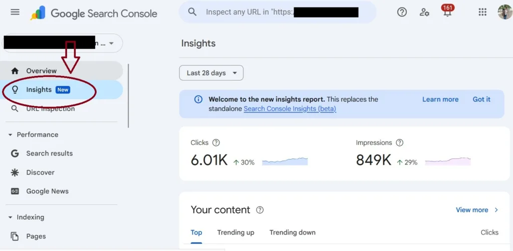 Google-Search-Console-insights